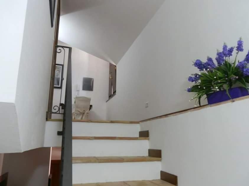 Agriturismo Ai Monaci Montano Antilia ภายนอก รูปภาพ